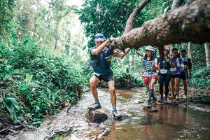 BIB: 
                            <button type="button" onclick="openModal(25375060)" class="btn btn-primary btn-sm float-right btn-popup" data-toggle="modal" data-target=".modal-high-quality">
                        <i class="fas fa-shopping-cart"></i> Add to Cart
                    </button>
                                            <button type="button" onclick="isThisMe(25375060, true)" class="btn btn-success btn-sm float-right btn-popup btn-isme hidden" data-toggle="tooltip" data-placement="bottom" title="นี่คือรูปของคุณใช่ไหม คลิกที่นี่เพื่อเอาเข้าอัลบั้ม">
                        <i class="fas fa-plus"></i> Add to album
                    </button>
                    <button type="button" onclick="isThisMe(25375060, false)" class="btn btn-warning btn-sm float-right btn-popup btn-isnotme hidden">
                        <i class="fas fa-ban"></i> Remove from album
                    </button>